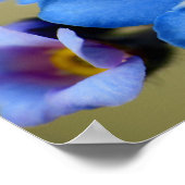 Vergessen-Me-Nots 11 Poster (Ecke)