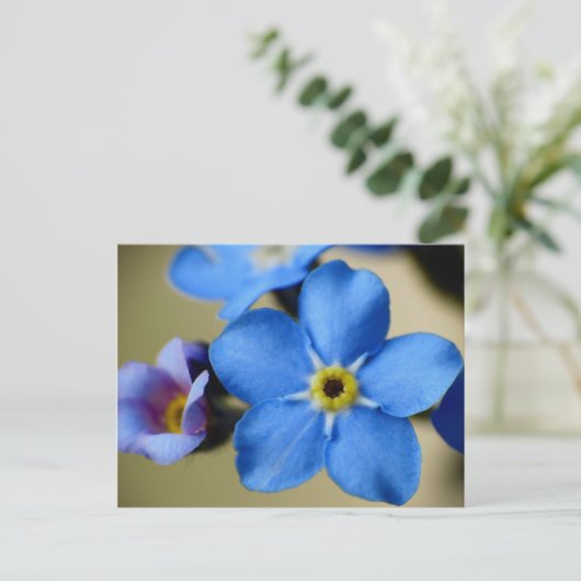 Vergessen-Me-Nots 11 Postkarte (Stehend Vorderseite)