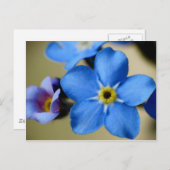 Vergessen-Me-Nots 11 Postkarte (Vorne/Hinten)