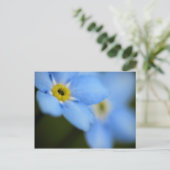 Vergessen-Me-Nots 9 Postkarte (Stehend Vorderseite)