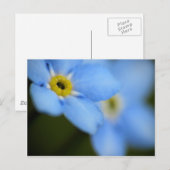 Vergessen-Me-Nots 9 Postkarte (Vorne/Hinten)