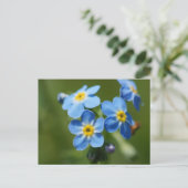 Vergessen-Me-Nots-Blume Postkarte (Stehend Vorderseite)