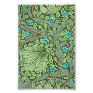 Vergessen-Me-Nots, Wallpaper von William Morris Fotodruck