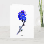 vergessen mich nicht ............ karte (Rückseite)