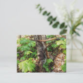 Vergessen Postkarte (Stehend Vorderseite)