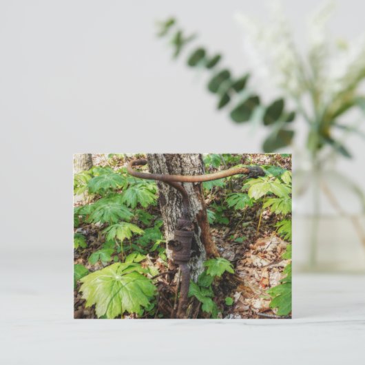 Vergessen Postkarte (Stehend Vorderseite)