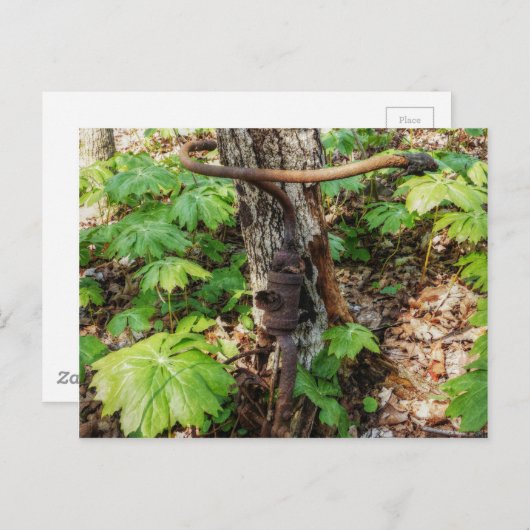 Vergessen Postkarte (Vorne/Hinten)