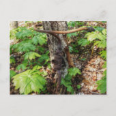 Vergessen Postkarte (Vorderseite)