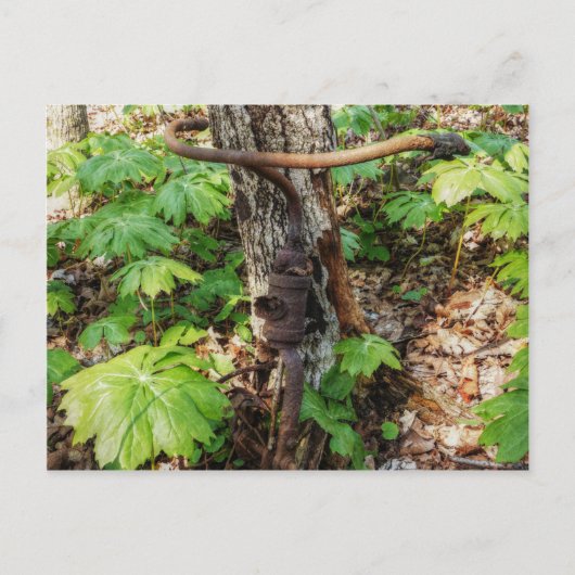 Vergessen Postkarte (Vorderseite)