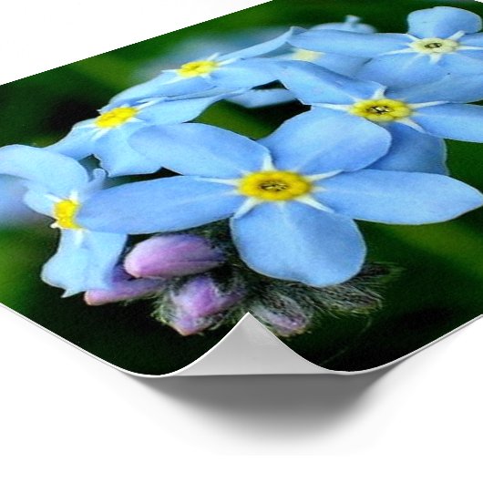 Vergessen Sie das Plakat nicht (Ecke)