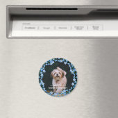 Vergessen Sie, dass ich kein Foto mit dem Namen Pe Magnet (In Situ (Geschirrspüler))