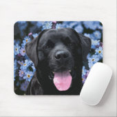 Vergessen Sie den Knoten - Schwarzes Labrador Mousepad (Mit Mouse)