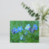 Vergessen Sie die Blues nicht Postkarte (Stehend Vorderseite)