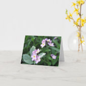 Vergessen Sie die Karte nicht (Gelbe Blume)