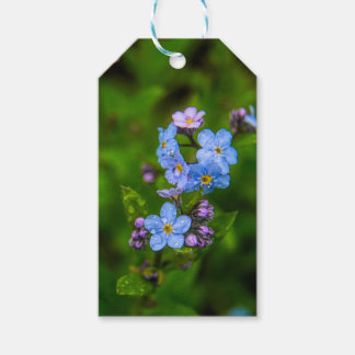 Vergessen Sie die Noten im Regen Geschenkanhänger