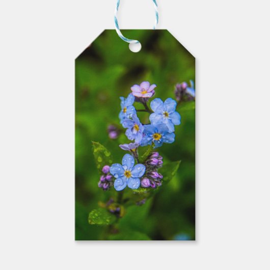 Vergessen Sie die Noten im Regen Geschenkanhänger (Vorderseite)