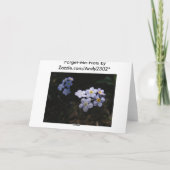 Vergessen Sie mich nicht ~ Beileid Karte (Rückseite)