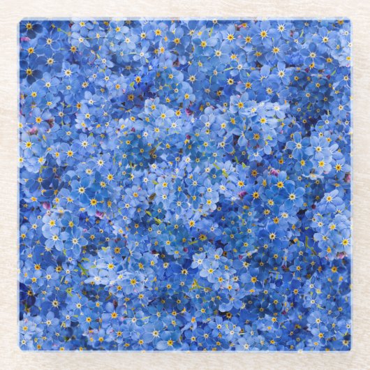 Vergessen Sie mir nicht das Muster der Blume Glasuntersetzer (Vorderseite)