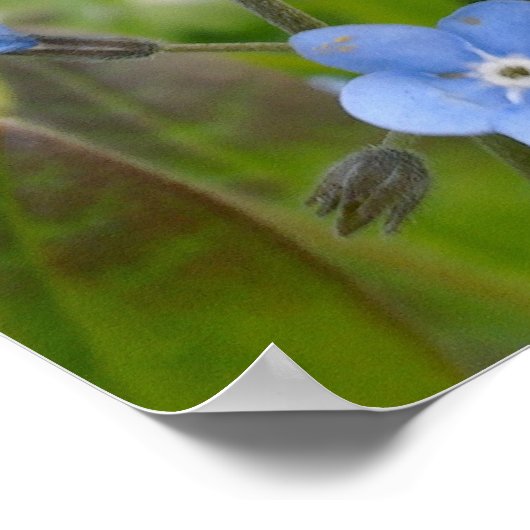 Vergessen Sie mir nicht Poster (Ecke)