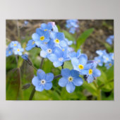 Vergessen Sie mir nicht Poster (Vorne)