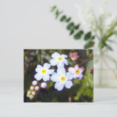 Vergessen Sie mir Noten 1 Postkarte (Stehend Vorderseite)