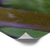 Vergessen Sie mir Noten 2 Poster (Ecke)