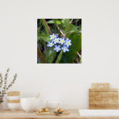 Vergessen Sie mir Noten 2 Poster (Küche)