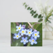 Vergessen Sie mir Noten 2 Postkarte (Stehend Vorderseite)
