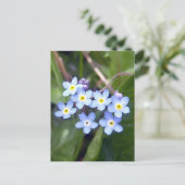 Vergessen Sie mir Noten 2 Postkarte (Stehend Vorderseite)