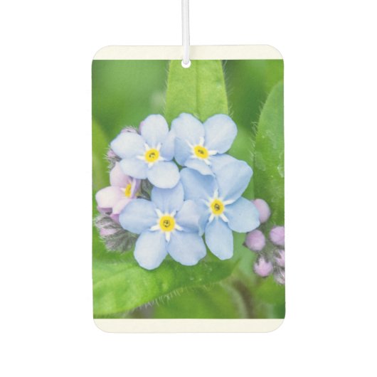 Vergessen Sie nicht Autolufterfrischer (Vorderseite)