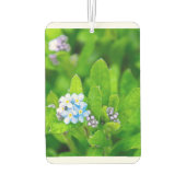 Vergessen Sie nicht Autolufterfrischer (Rückseite)