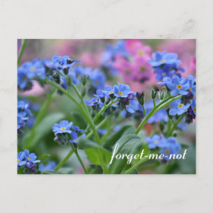 Vergessen Sie nicht-Blume Postkarte