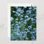 Vergessen Sie nicht-Blume Postkarte (Vorne/Hinten)