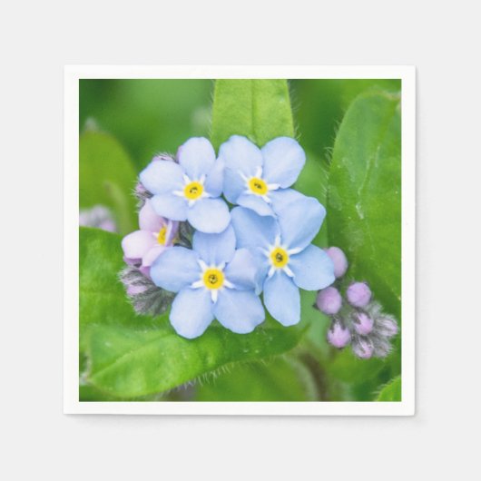 Vergessen Sie nicht, Paper Napkin Serviette (Vorderseite)