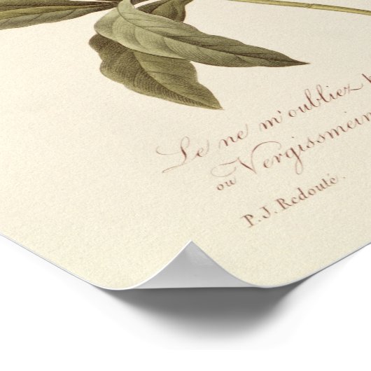 Vergessen Sie nicht Poster (Ecke)