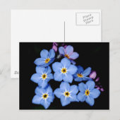 Vergessen Sie nicht Postkarte (Vorne/Hinten)
