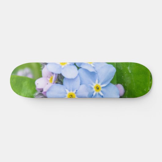 Vergessen Sie nicht, Skateboard (Horizontal)