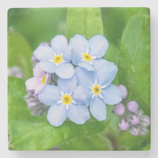 Vergessen Sie nicht, Stone Untersetzer (Vorderseite)