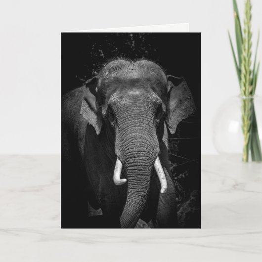 Vergessen Sie nie einen Geburtstag Karte (Vorderseite)