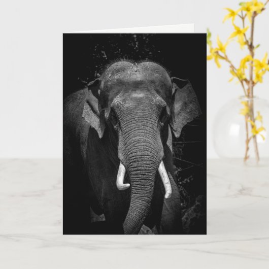 Vergessen Sie nie einen Geburtstag Karte (Gelbe Blume)