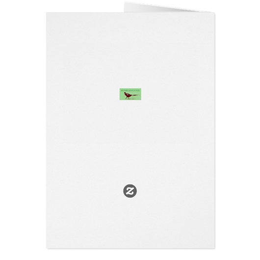 Vergessene Blume (Hinten)