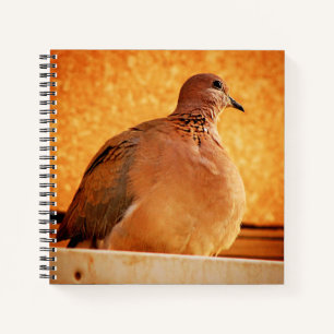 Vergessene Erinnerungen Notizblock