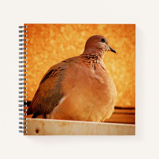 Vergessene Erinnerungen Notizblock (Vorderseite)