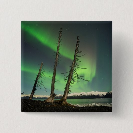 Vergessene Spruce Aurora Button (Vorderseite)