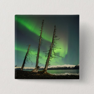 Vergessene Spruce Aurora Button