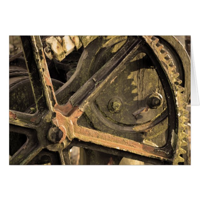 Vergessener Kranich (Vorderseite (Horizontal))