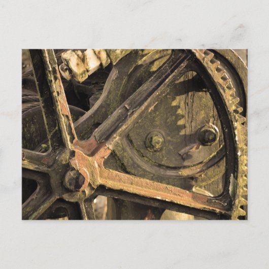 Vergessener Kranich Postkarte (Vorderseite)