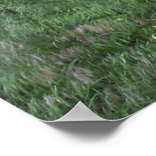 Vergessener Wagen Poster (Ecke)