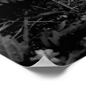 Vergessenes Baseball-Poster Poster (Ecke)