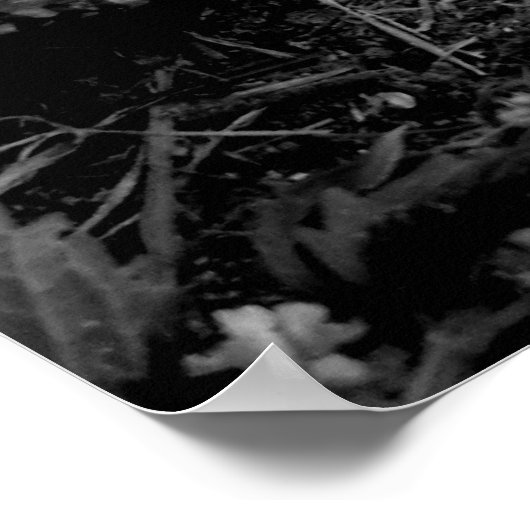 Vergessenes Baseball-Poster Poster (Ecke)